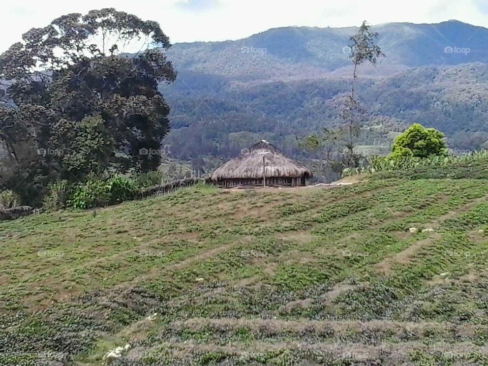 Ilaga Papua Indonesia
