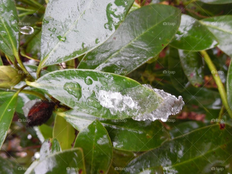 Parc de Mariemont , la Louvière