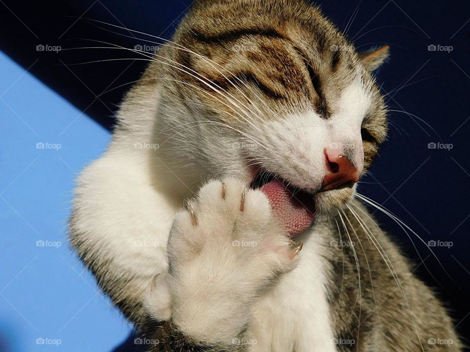 a bath before bed // Nikon Coolpix b500