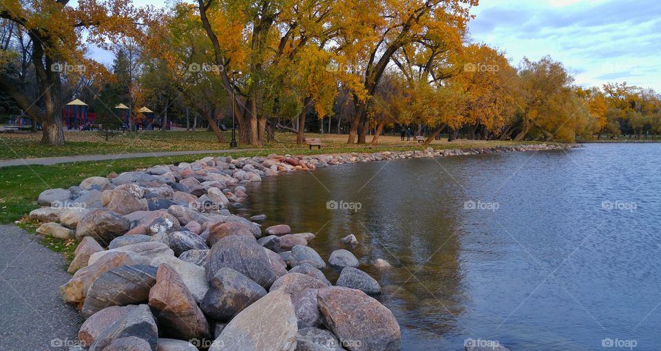 Autumn lakeside trees