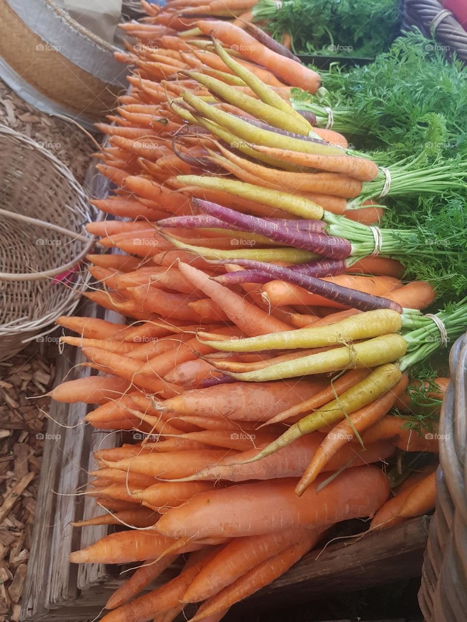 Carrots in all shapes, colours and sizes