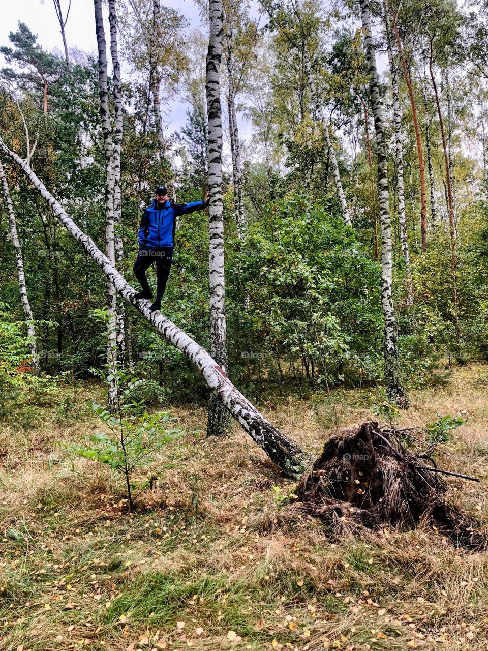 Man standing on a tree