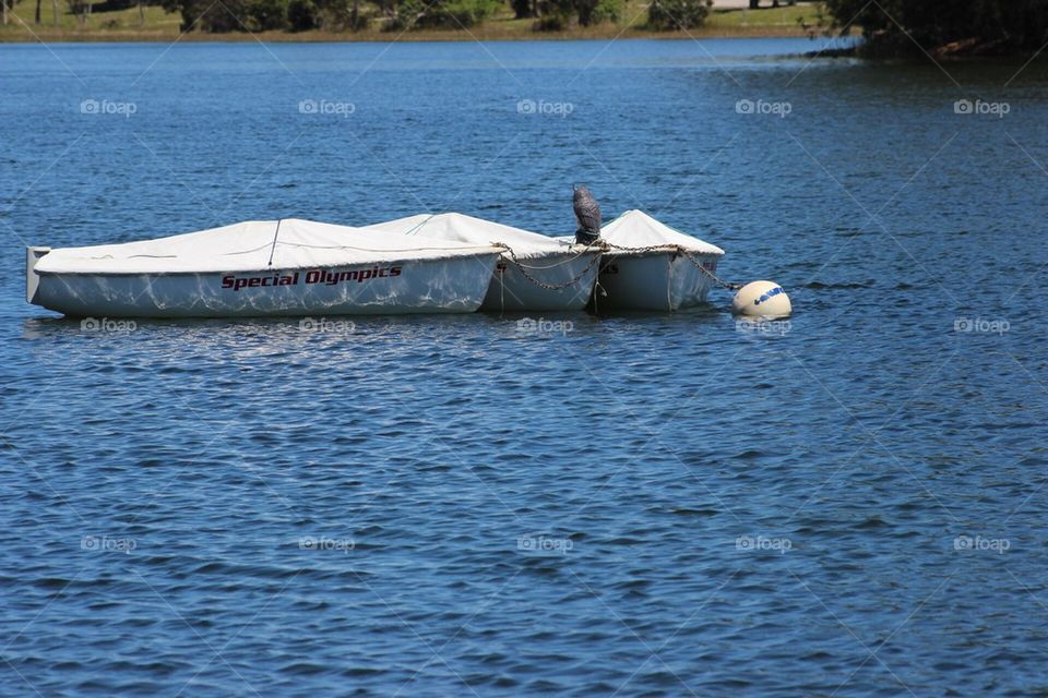 Lake boat 