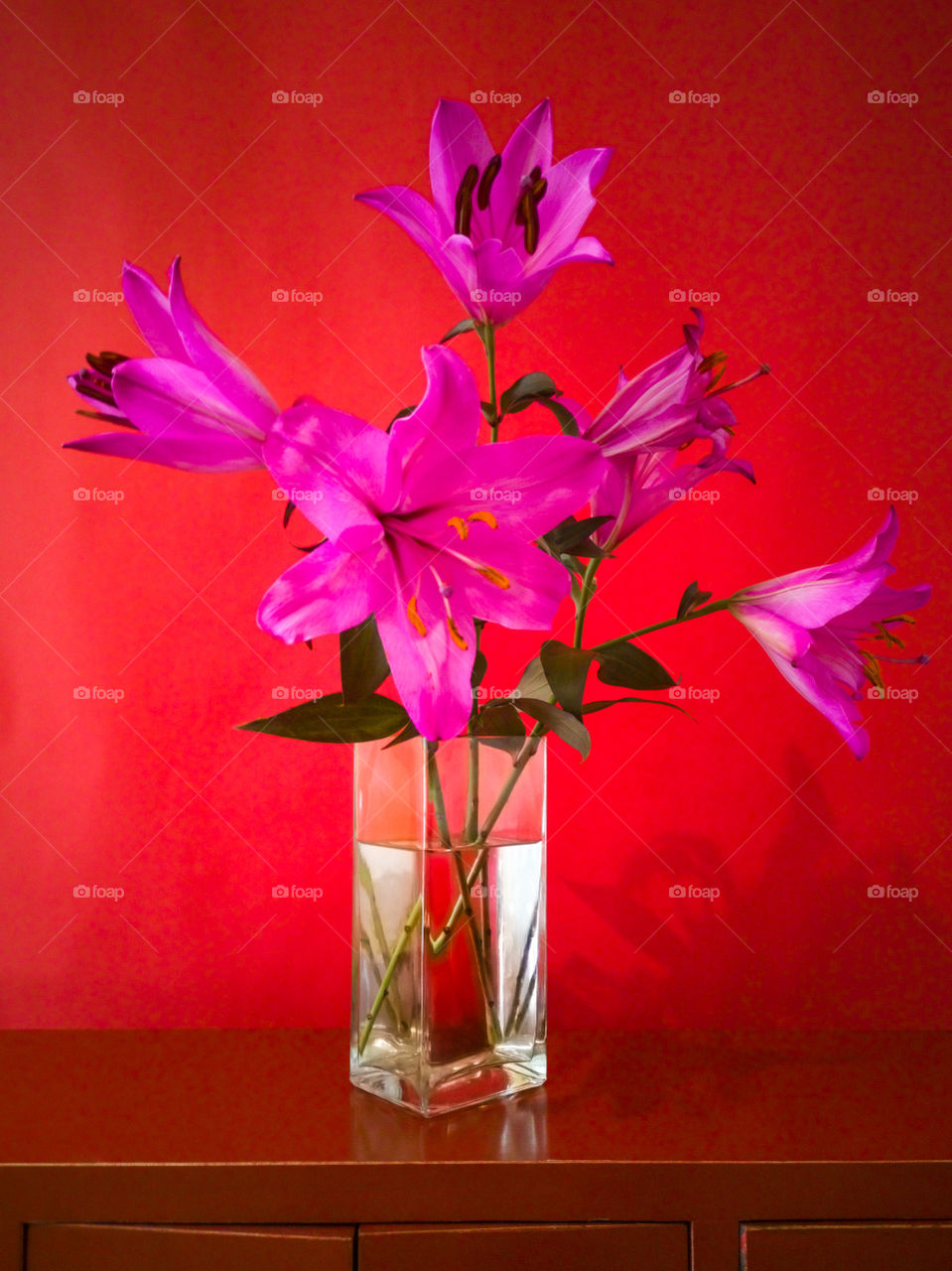 Purple Lilies flowers in glass square vase on red background.