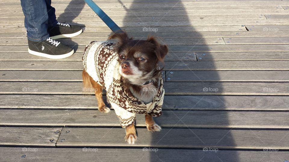 Nivea and care during the holidays