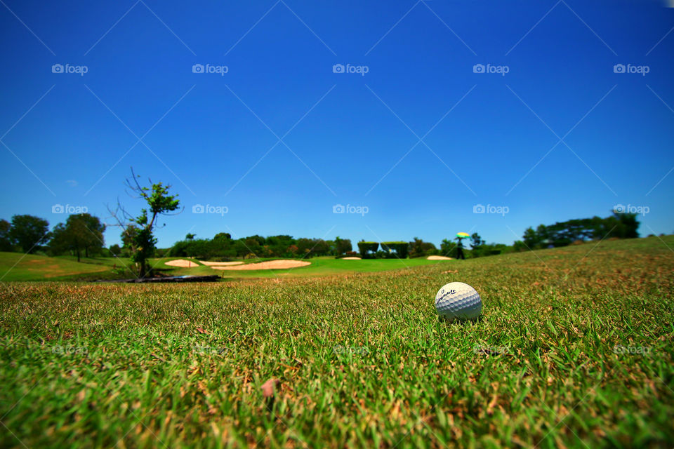 Golf ball on grassy land