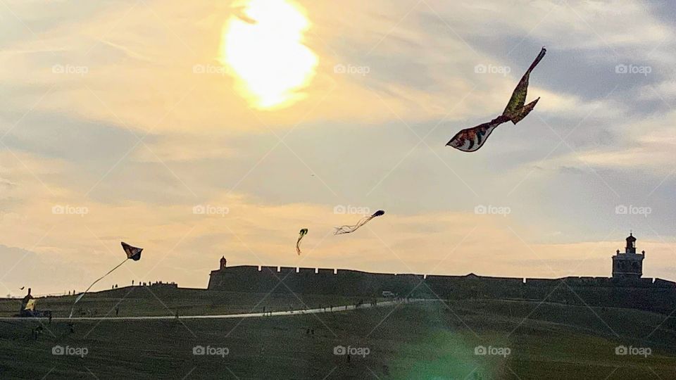 Kites at Sunset 