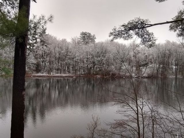 Winter Snow!