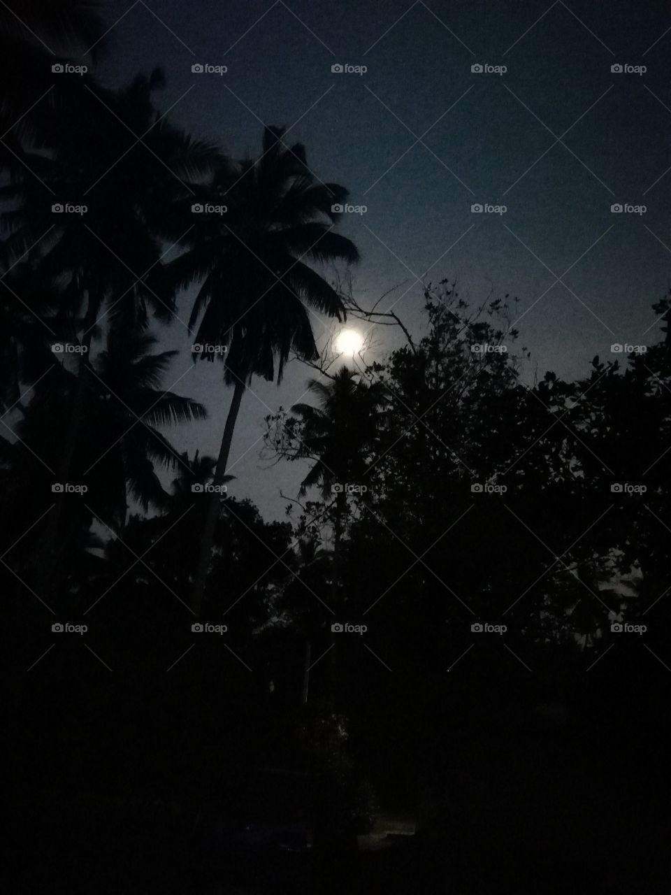 Our favourite Person come in the evening # he is none other than uncle moon 🌕😜