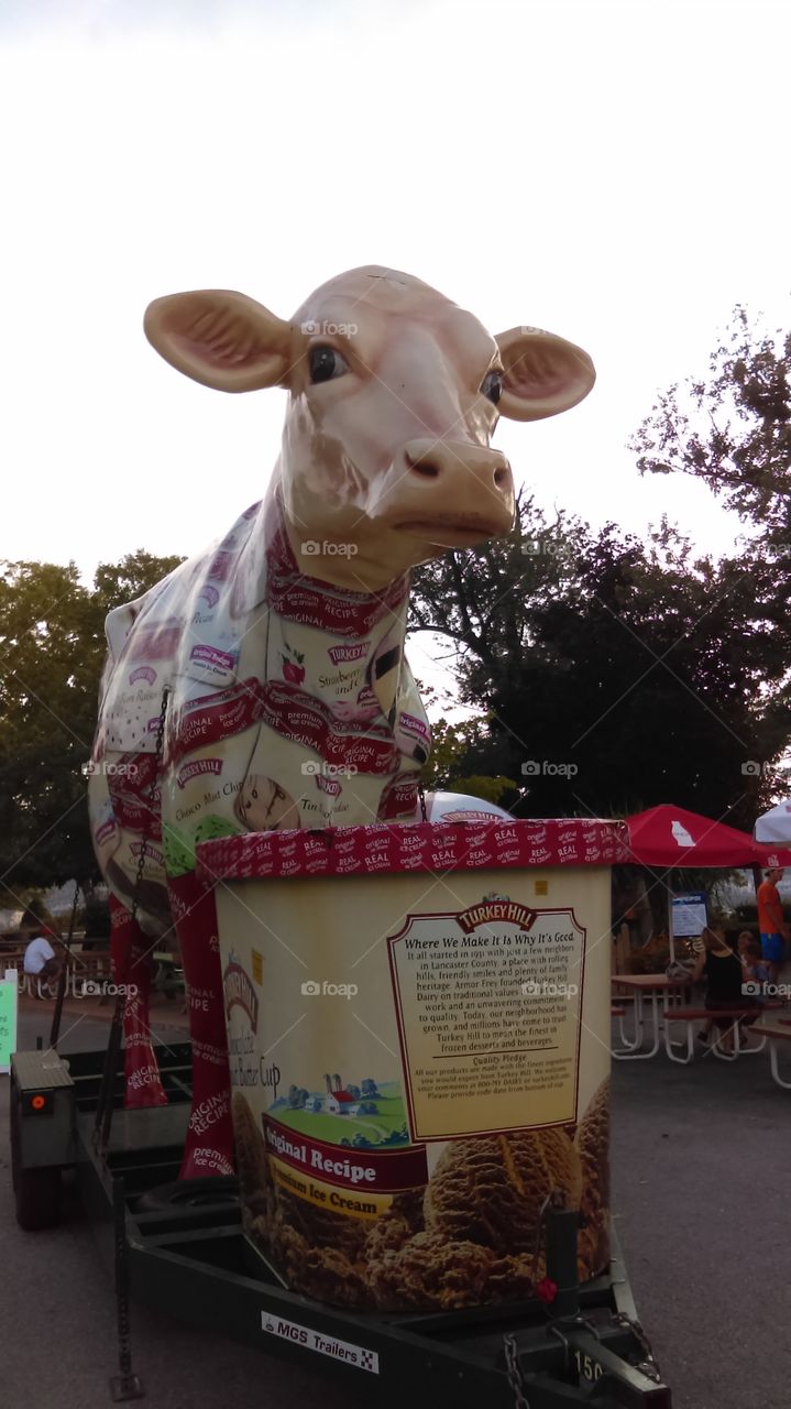 Giant ice cream cow
