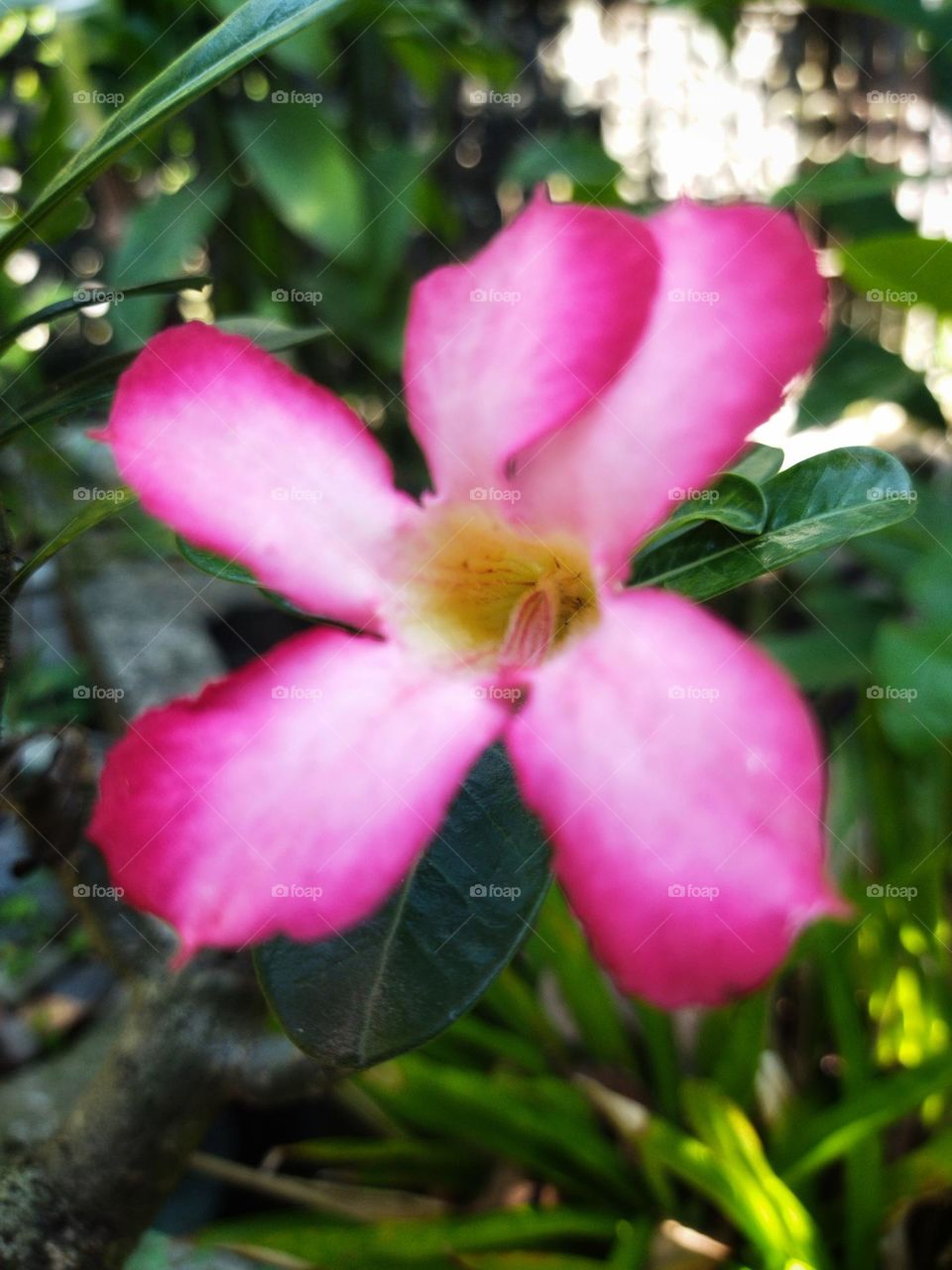 Editors' Choice: Photo of the Week