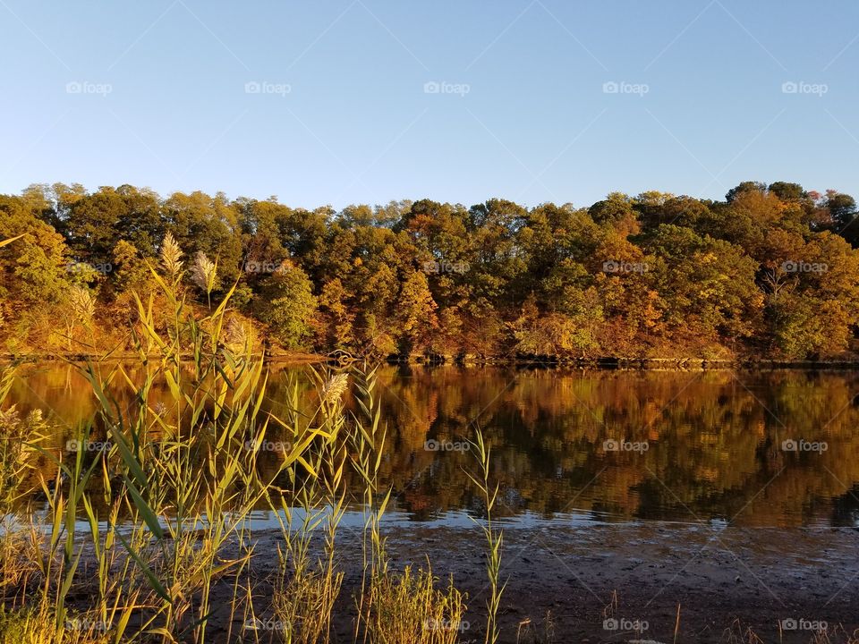 Autumn river