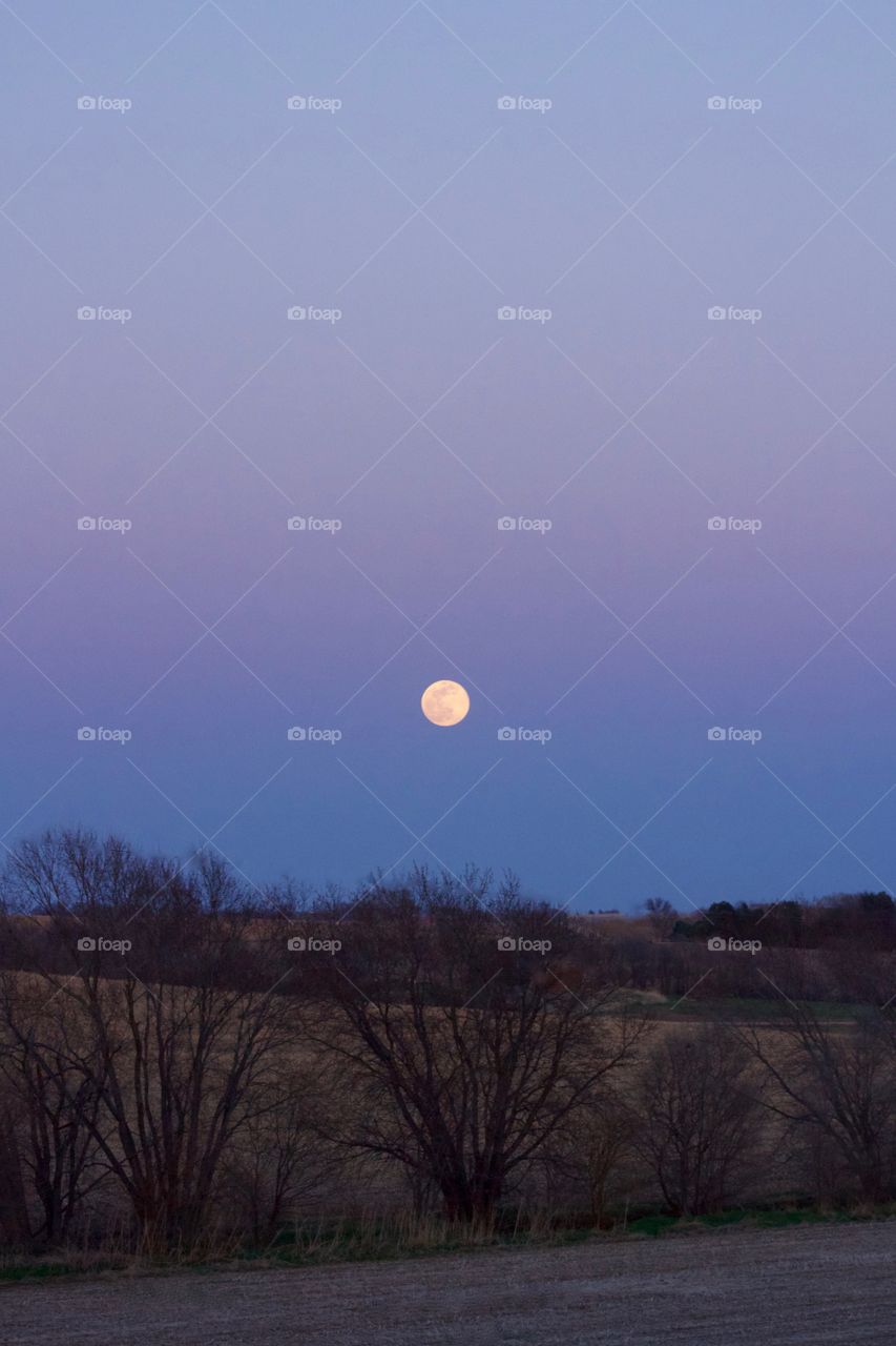 Full moon rising in a deep blue evening sky over a hilly, rural landscape