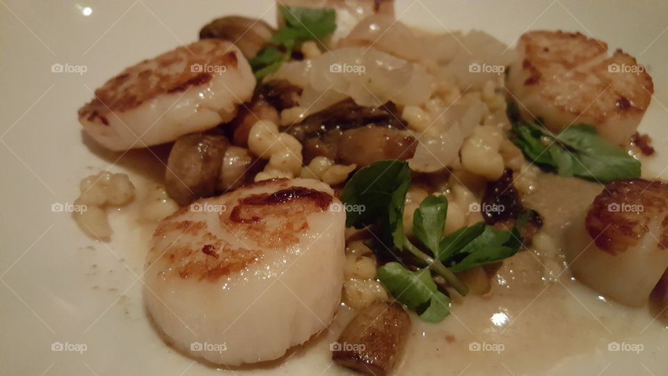scallops and spaetzle