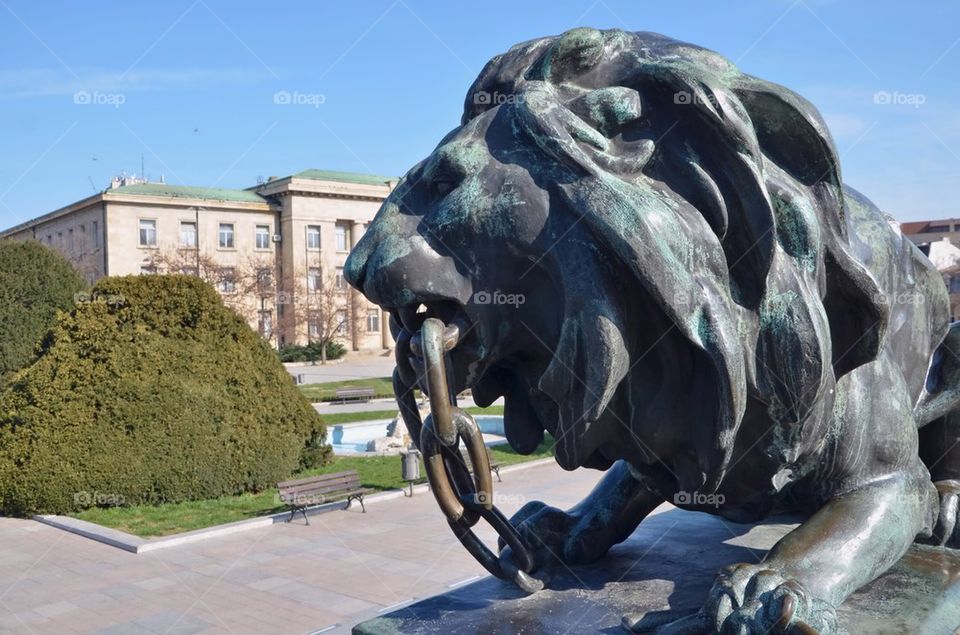 Lion, Statue of Liberty, Russe, Pyce Bulgaria