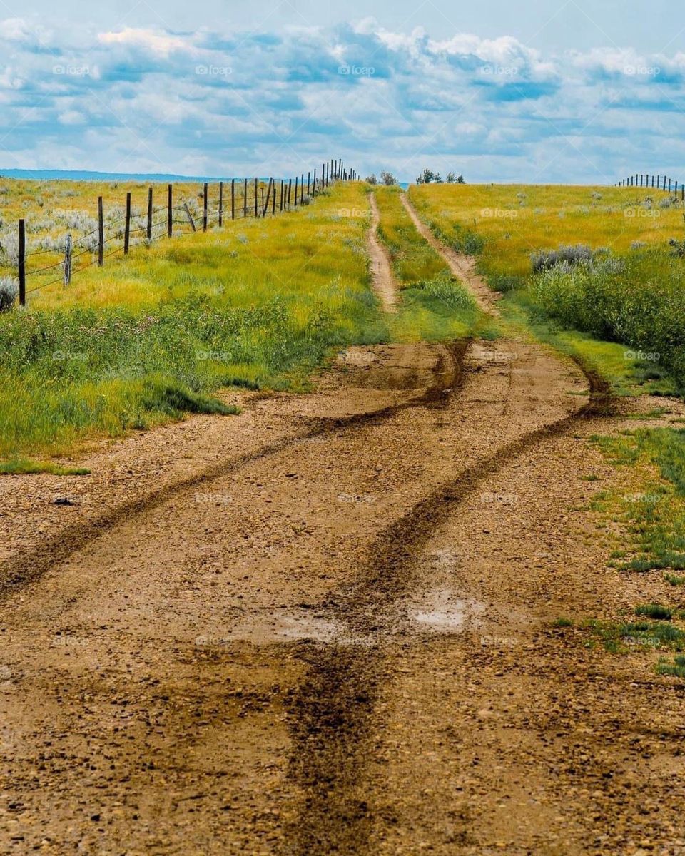 Dirt Road in Canadian Countryside