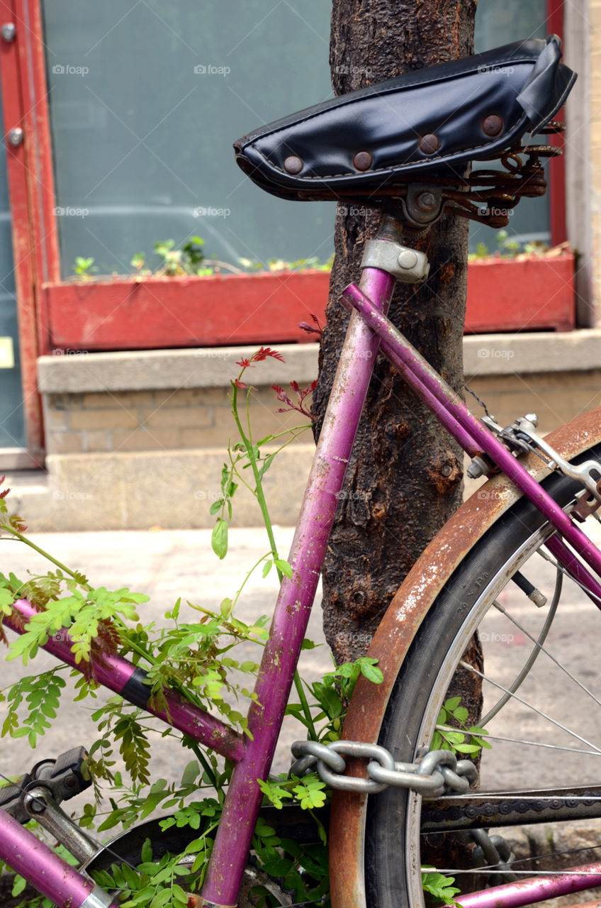 Detail of a bicycle parked in the street 