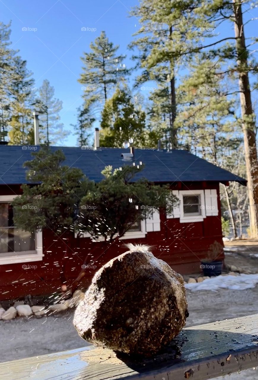 Melting snow in motion