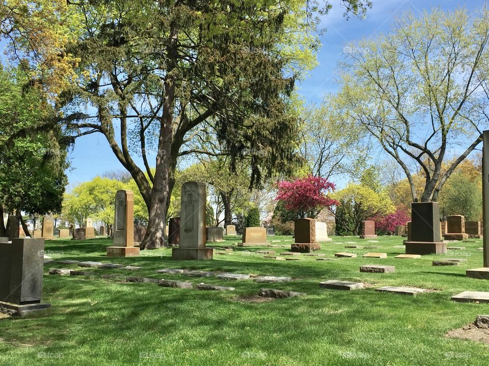 Clover hill cemetery 