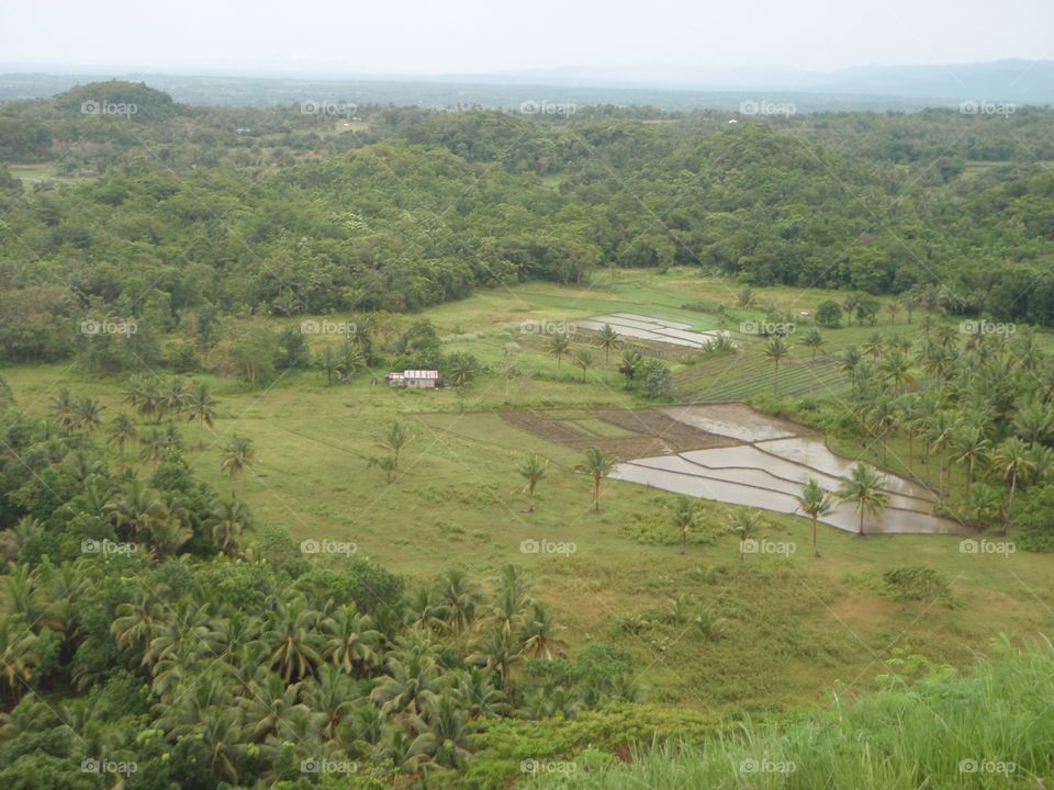 Landscape, Agriculture, Cropland, No Person, Nature