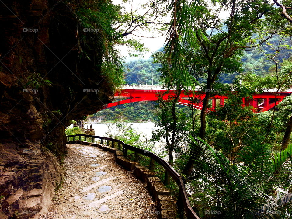 Red bridge through the trees