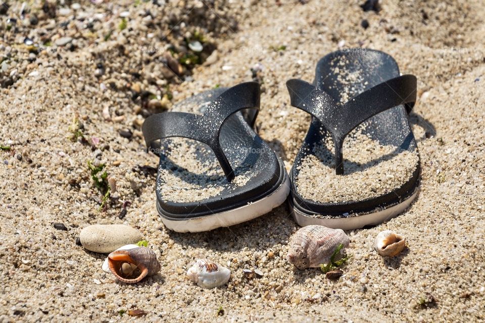 Flip flops and seashells in the beach
