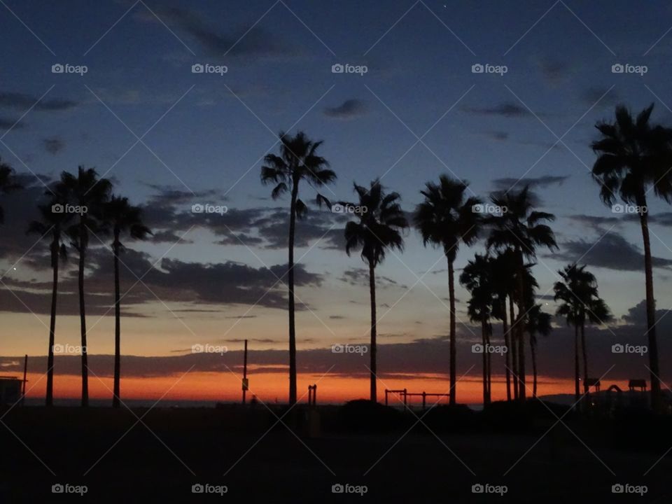 Silhouettes of objects in the beach of Santa Monica.