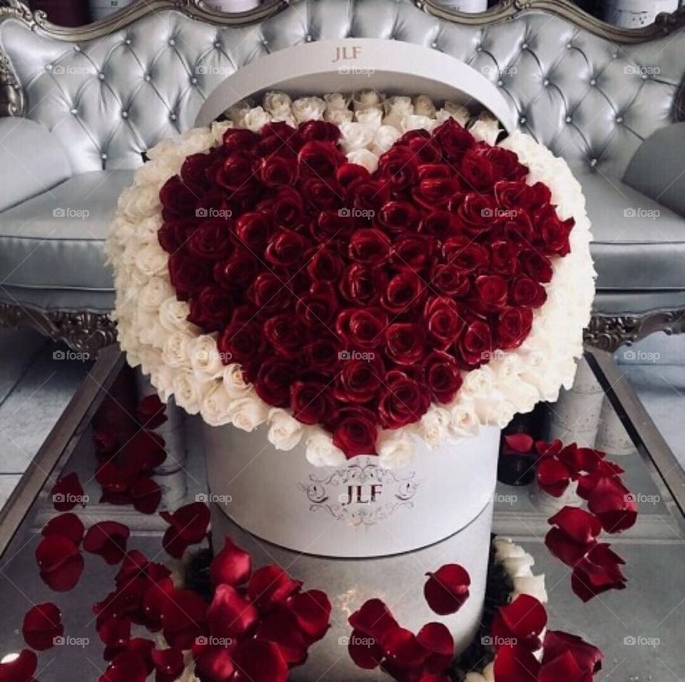 😍🌹🌹🌹🌹🌹🌹🌹🌹🌹🌹🌹🌹