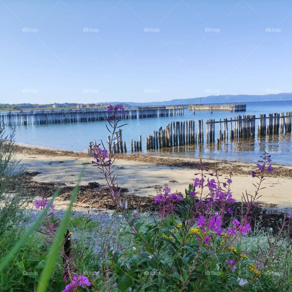 beach in Trondheim