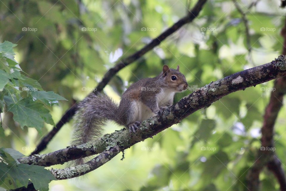 We’re all a little nuts.