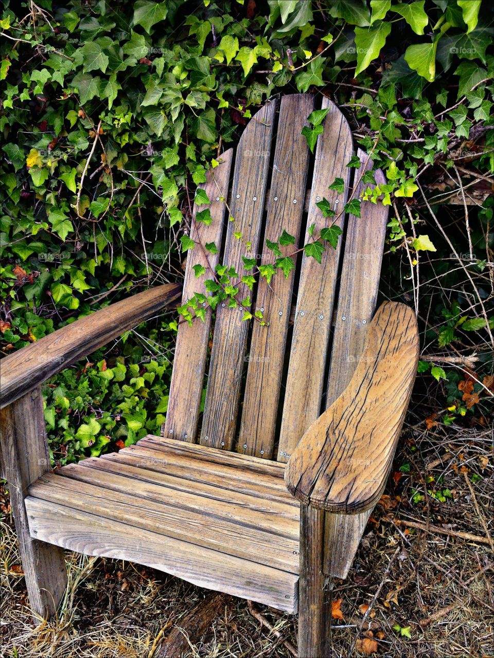 Old chair. Old chair