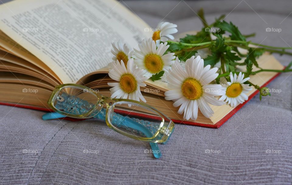 beautiful flowers reading book