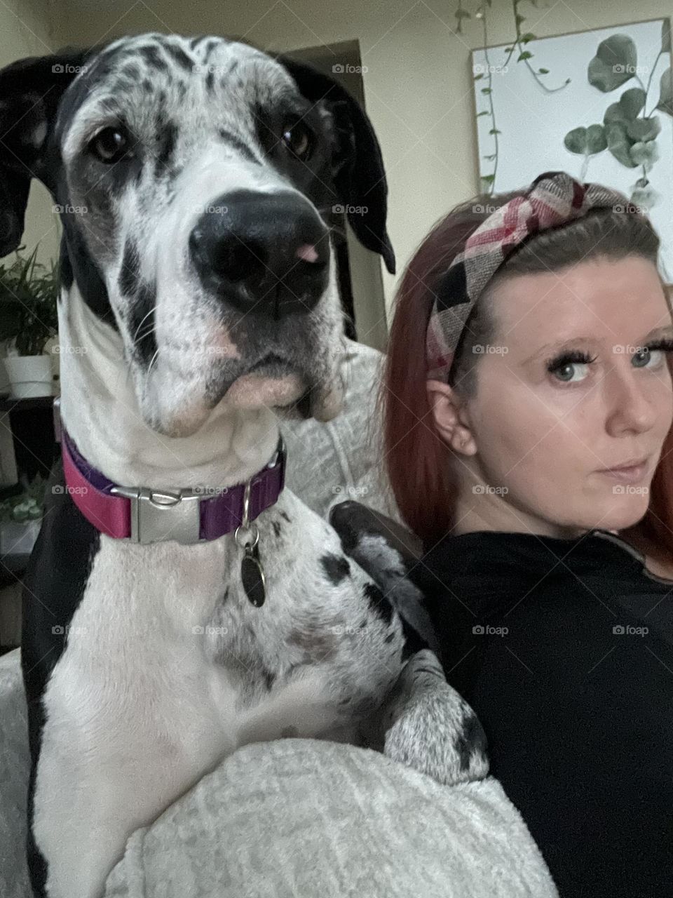 Perched on my shoulder, greetings, questions, and a whole lot of curiosity included, looking to see if there is more. 