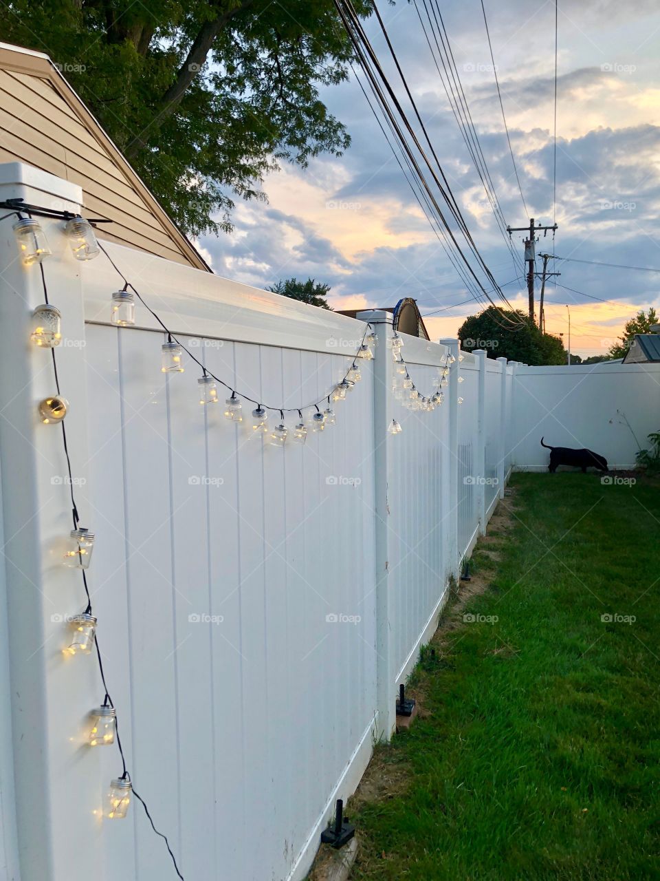 Summer lights in suburban backyard