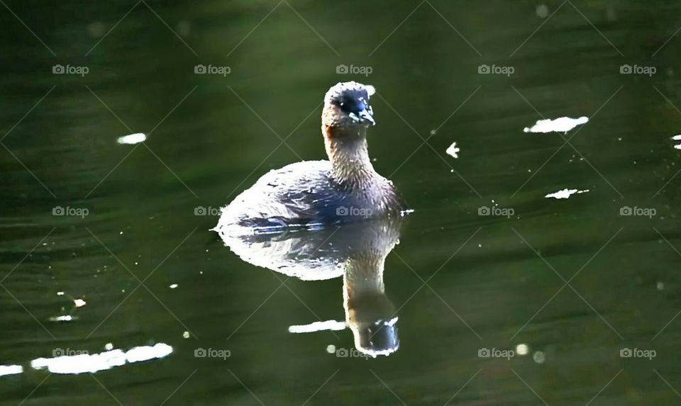 Hancock, water, sky, blue,