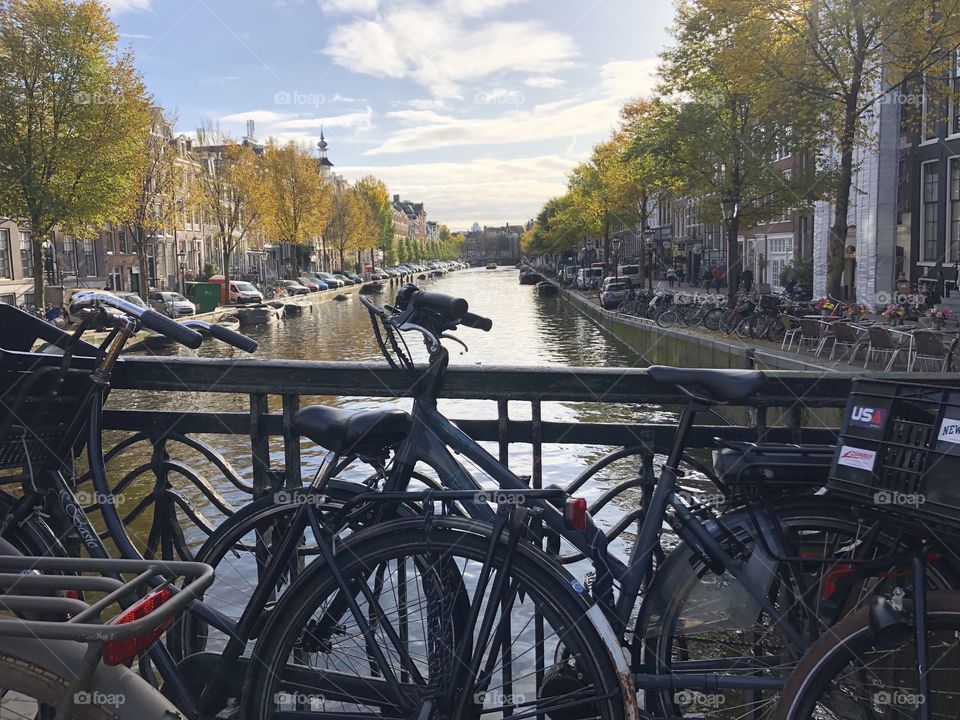 A view of Amsterdam 