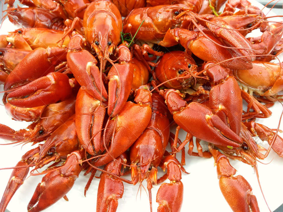 Plate full of crawfish. Plate full of crawfish