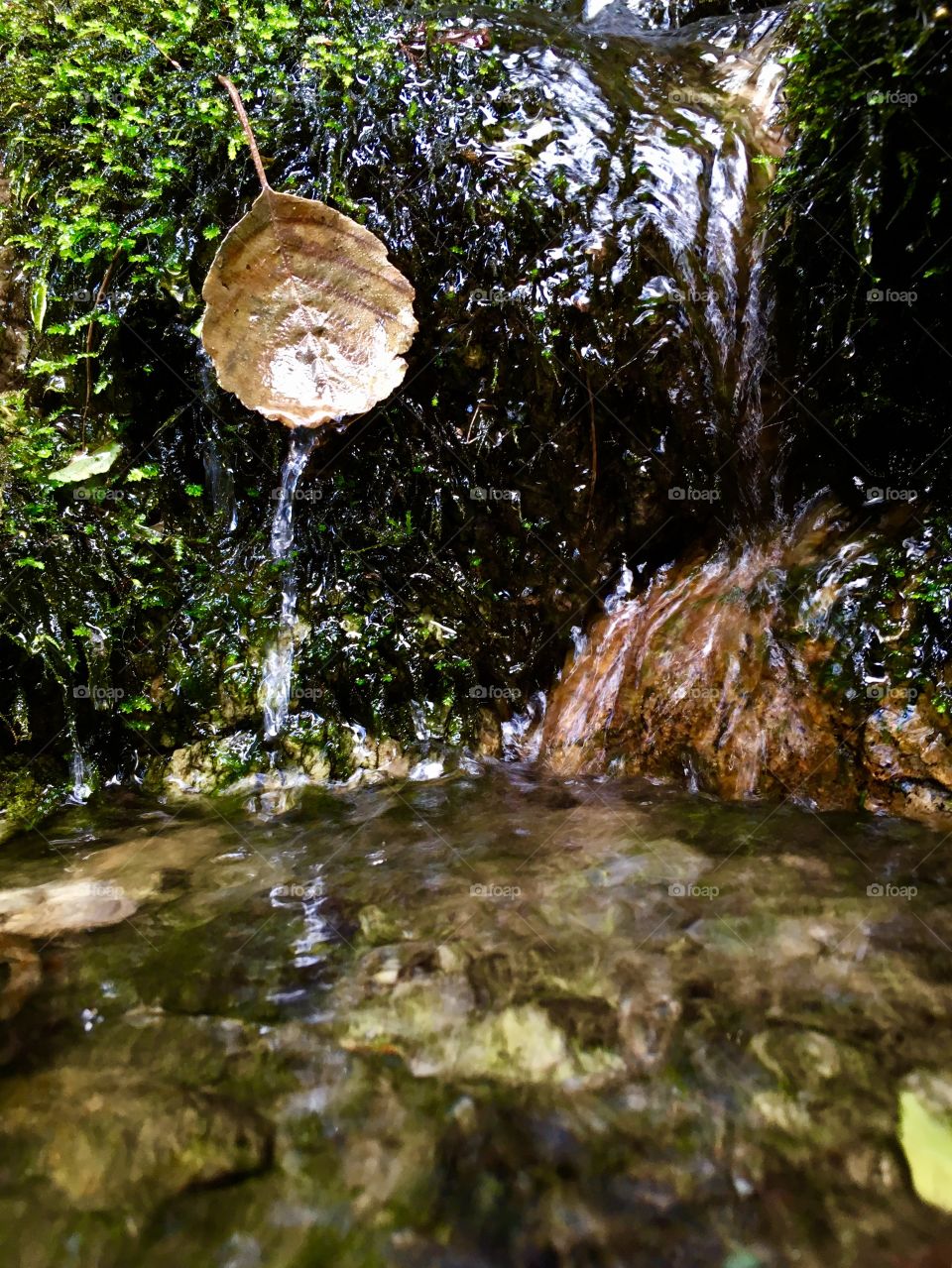 source of river Seveso located at 490 m above sea level on Mount Sasso, fraction of Cavallasca, San Fermo into regional park Spina Verde, near the Swiss border
