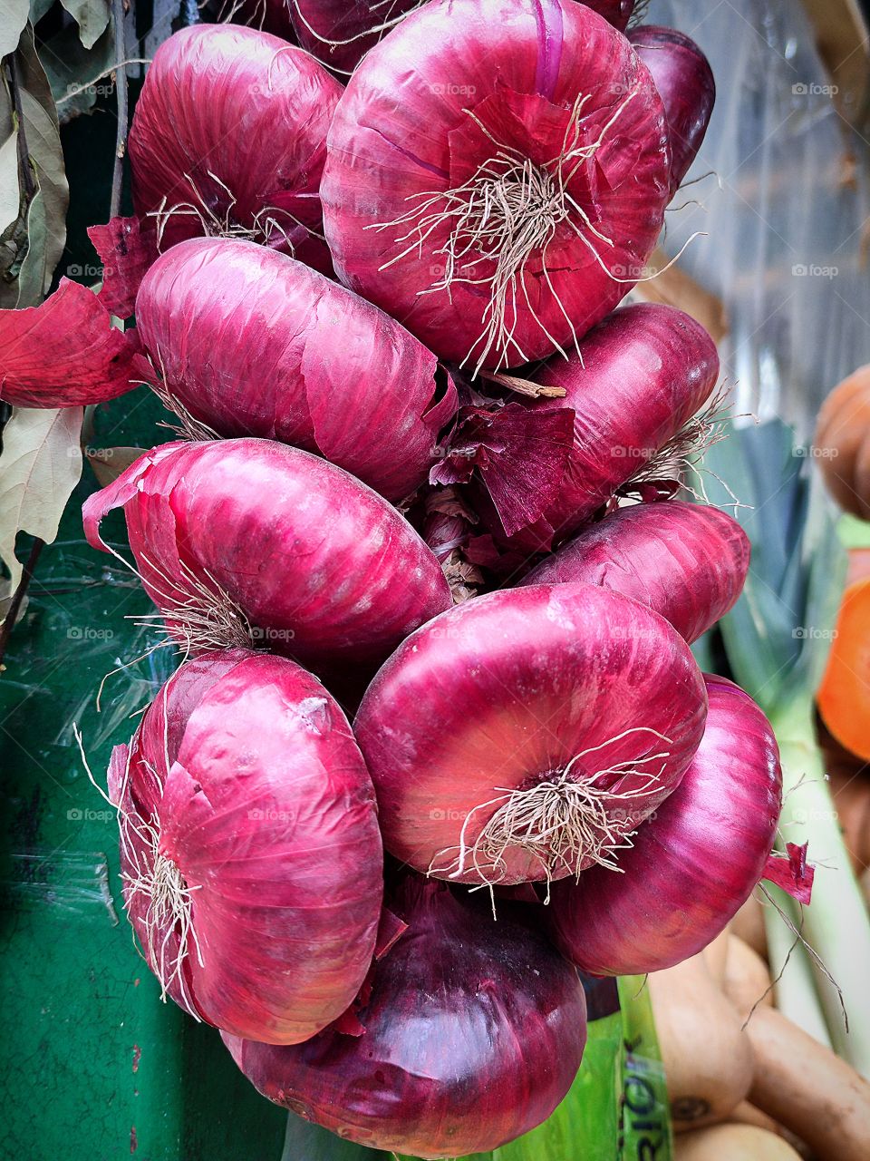 Bazaar.  A bunch of Yalta onions.  Onion variety.  Flat red onions