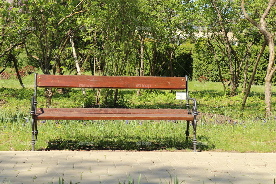 bench