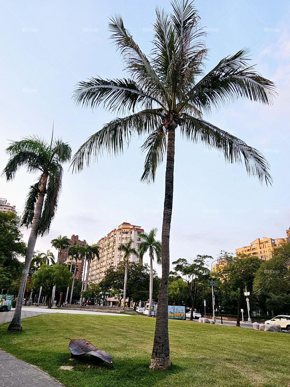 A relaxing corner of the park