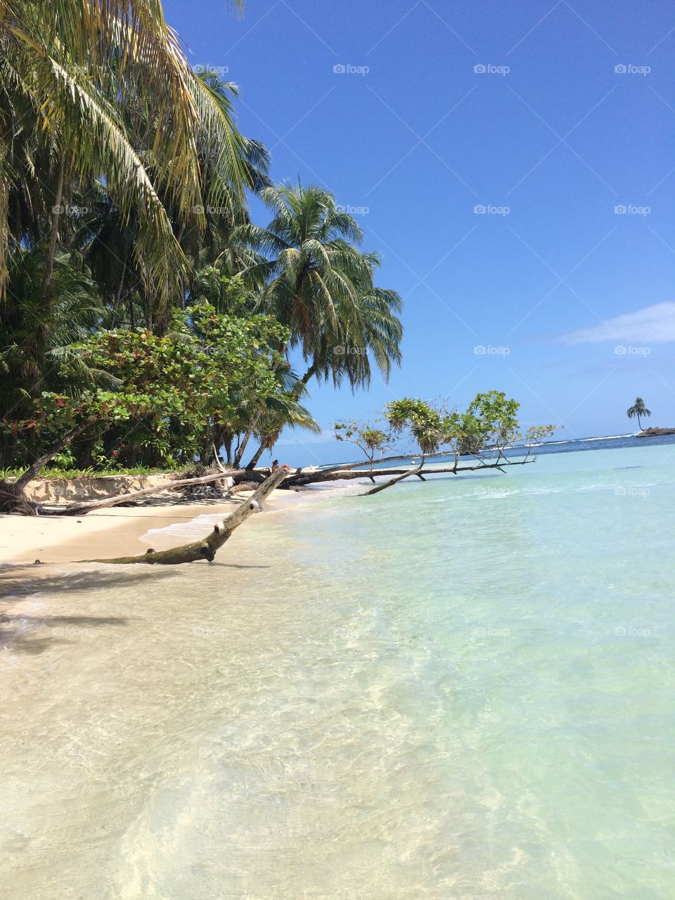 beach in paradise. View of Cayo Zapatillo in Bocas Del Toro Panama