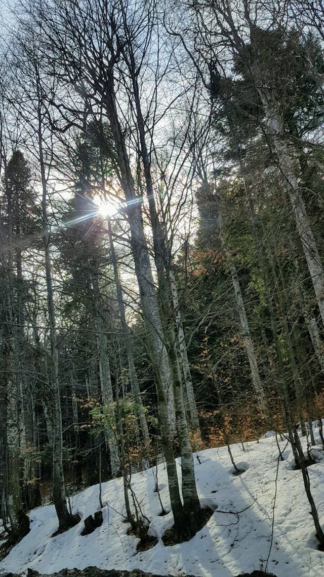 nature