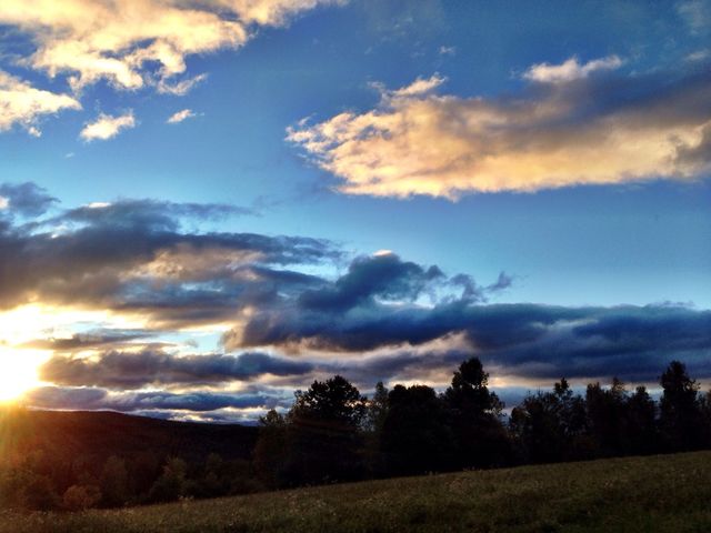 Cotton candy clouds