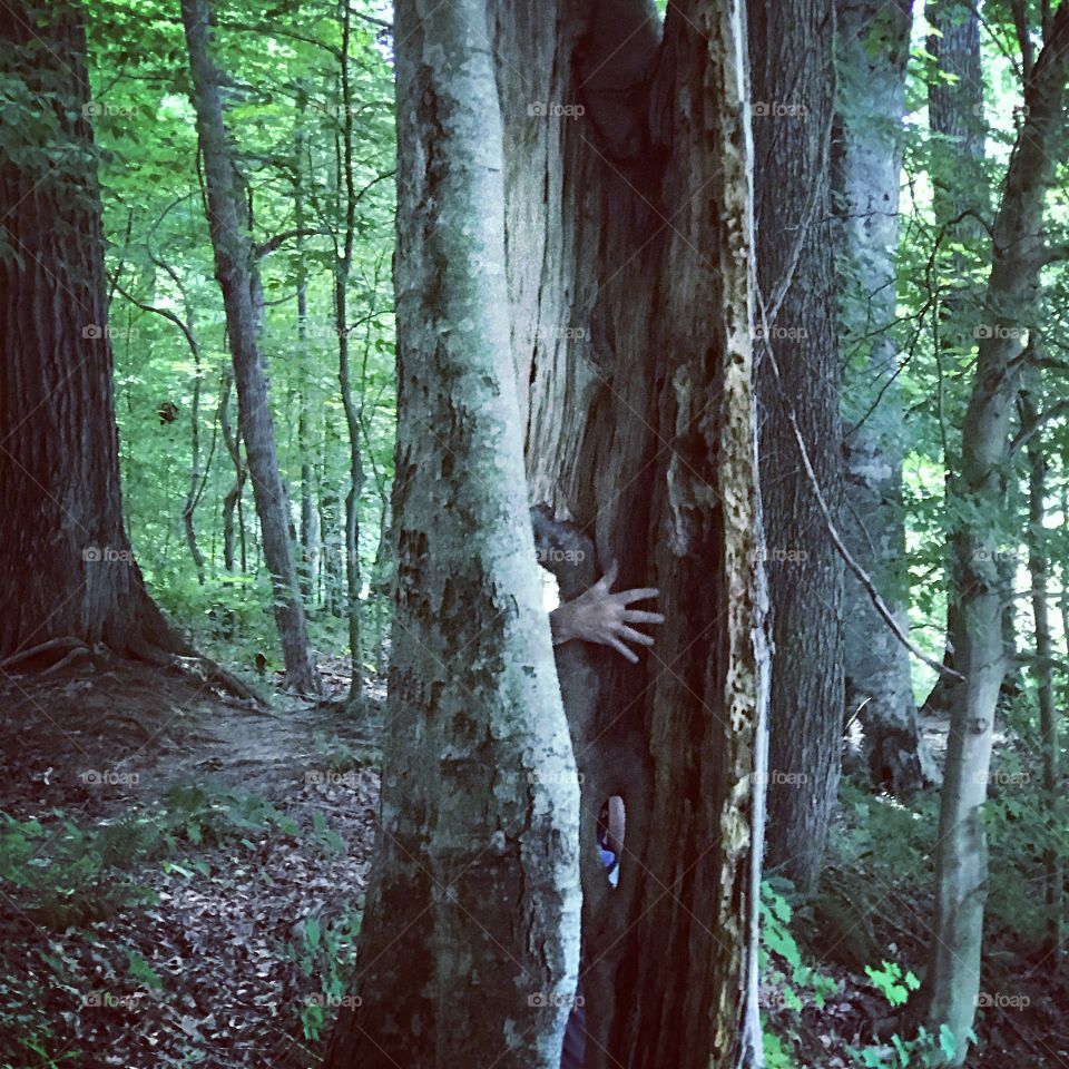 Creepy hand on tree