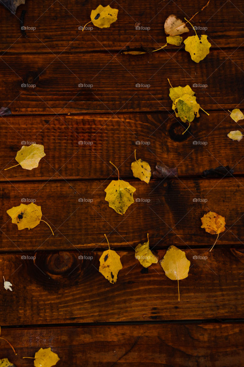 Leaf on boards
