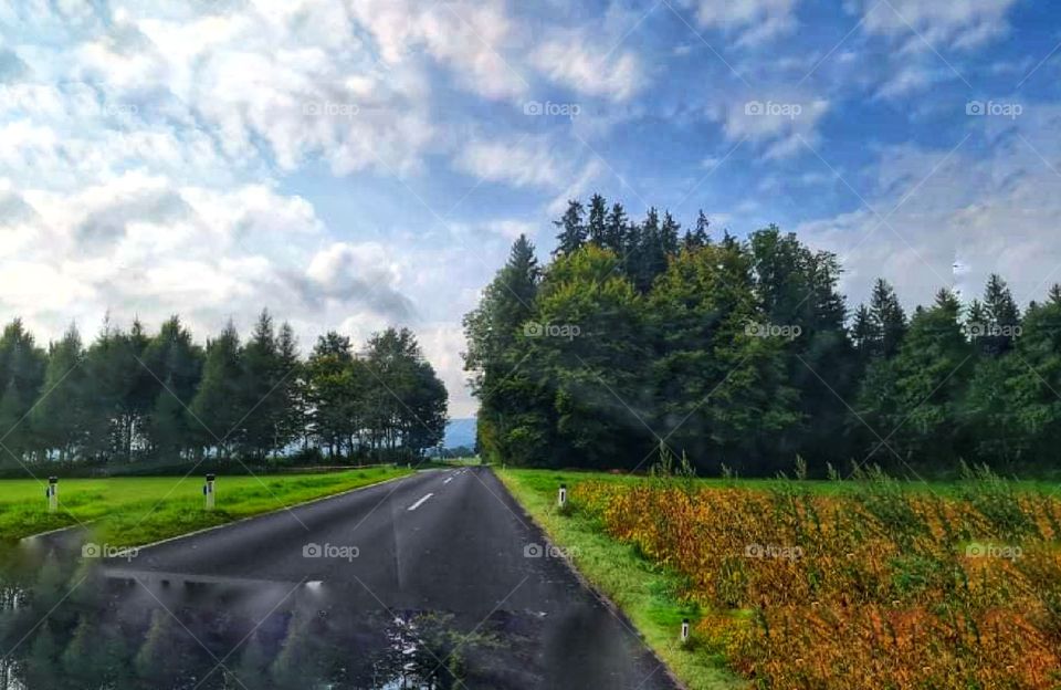 On the way back  home