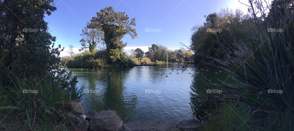 Water, Tree, Lake, Landscape, River