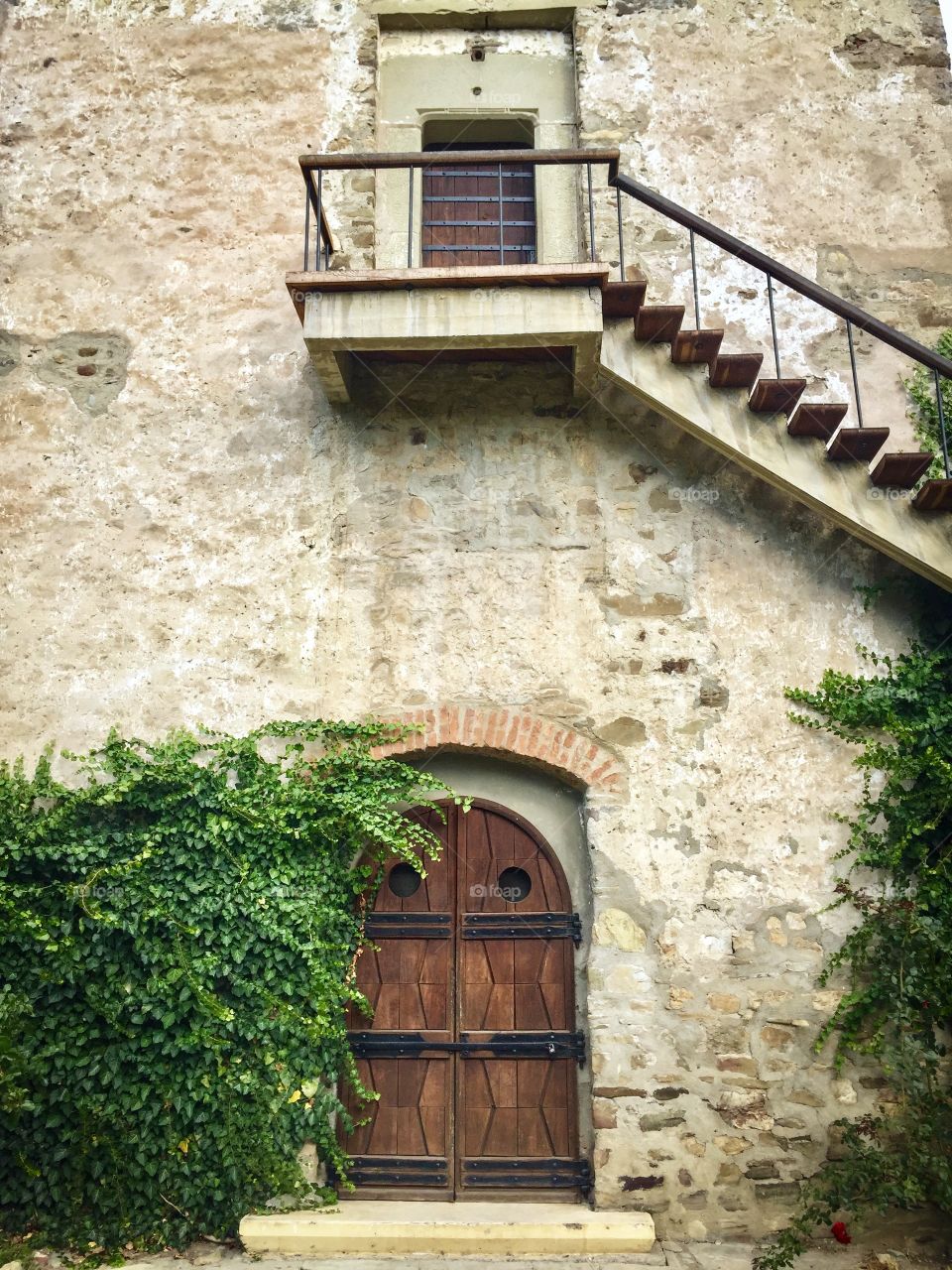 Wooden door on a stone building with poison ivy