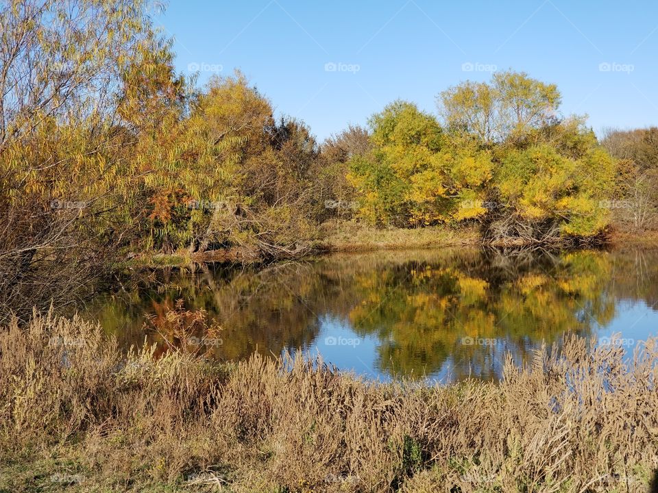 Fall Landscape